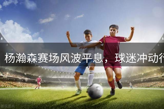 杨瀚森赛场风波平息，球迷冲动行为受处理